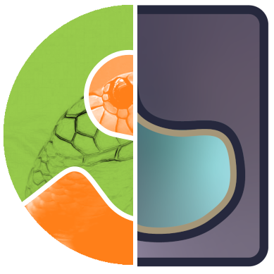 Image analysis and visualization in Python with scikit-image, napari, and friends - Home